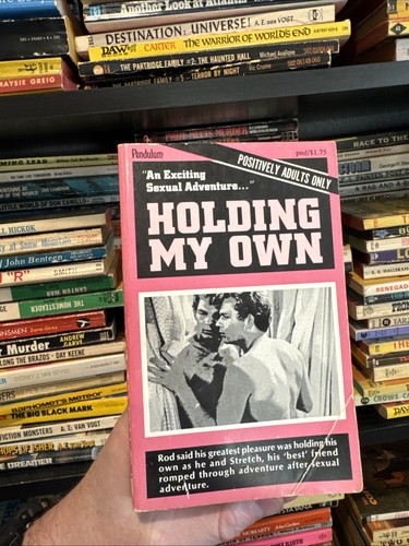 Vintage pulp paperback - paperback, gay