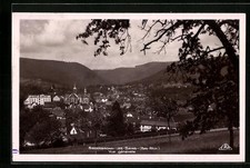 CPA Niederbronn-les-Bains, Vue générale 1929 