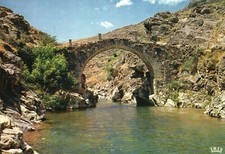 *4965 cpsm Asco - le Pont Gênois