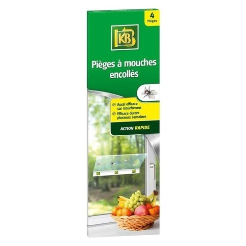 Pièges à mouches - 4,