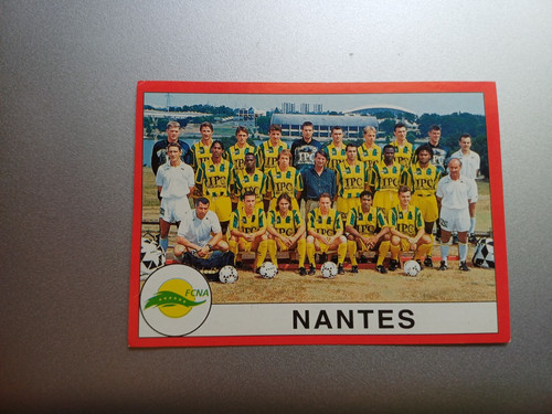 Vignette panini football 1995 - vignette,