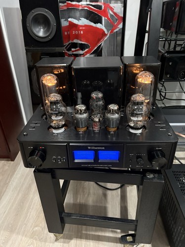 Willsenton 800i single - willsenton, single-ended
