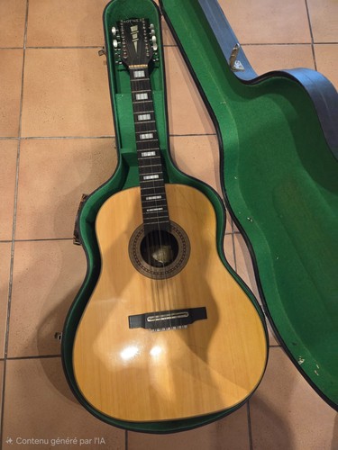 Guitare hofner cordes avec - guitare, 12