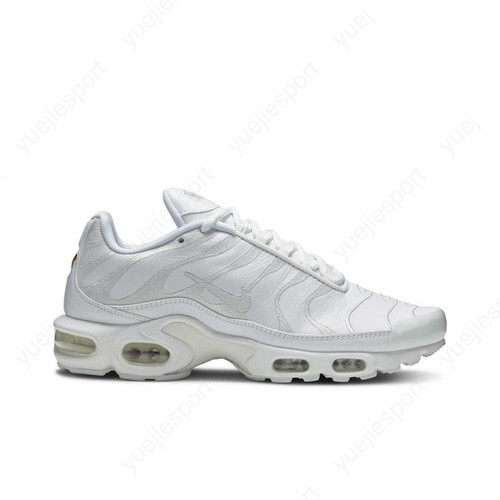Nike air max plus - air, triple