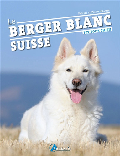 Berger blanc suisse - le,
