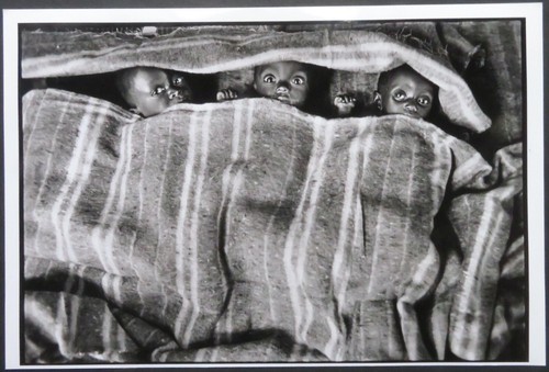 Sebastiao salgado goma - sebastiao,