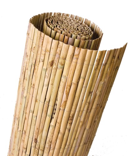 Bambou dian palissade - bambou,
