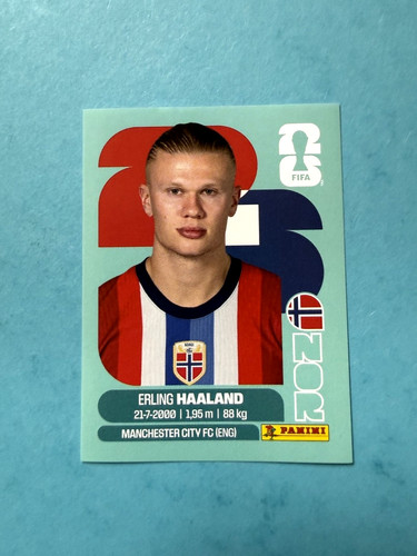 Nor panini wc - 15, fifa