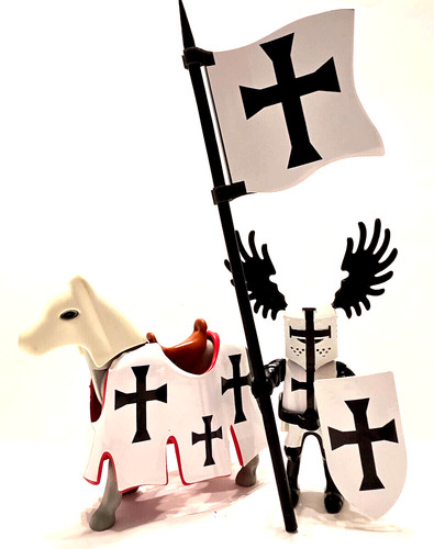 Playmobil ordre des chevaliers - playmobil,