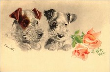 CPA AK Fox Terrier Fox Terriers with Flowers DOGS (1388098)