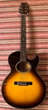 1985 Washburn Woodstock EA20