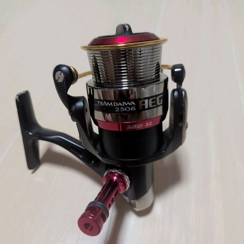 Daiwa aegis 2506 team - team,