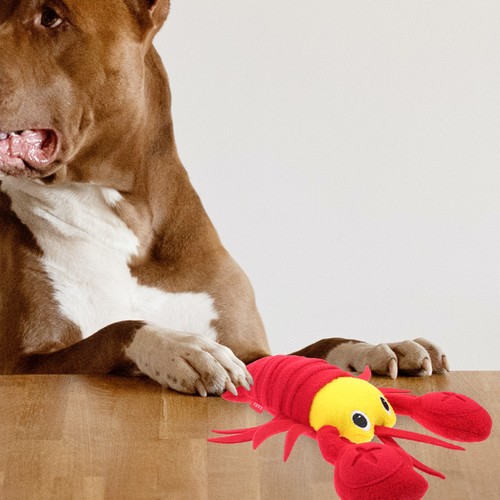 Jouet mâcher pour animaux - ,
