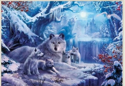 Diamond painting 20x25 loup - 20x25,