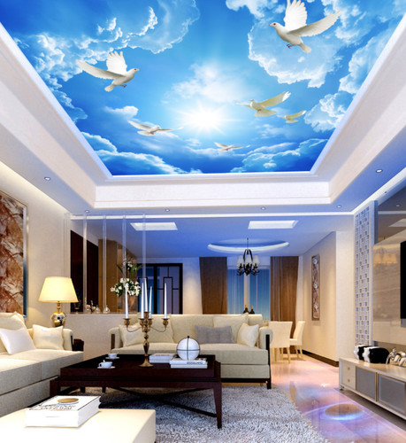 Colombe blanche ciel bleu - colombe,