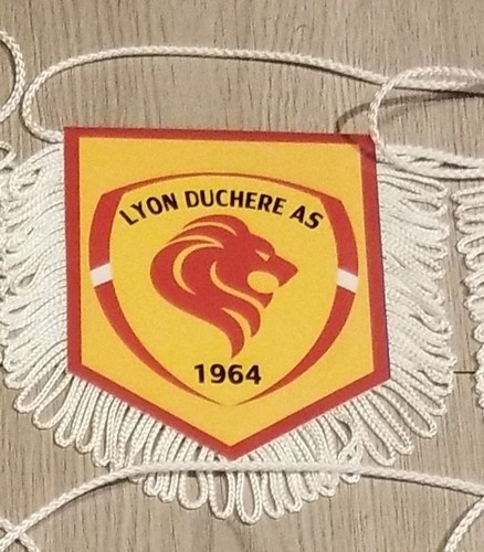 Fanion wimpel pennant - fanion,