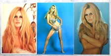 Lot 3 grandes photos BRIGITTE BARDOT - Sam LEVIN (20,5 x 29,5 cm) Retirages NEUF