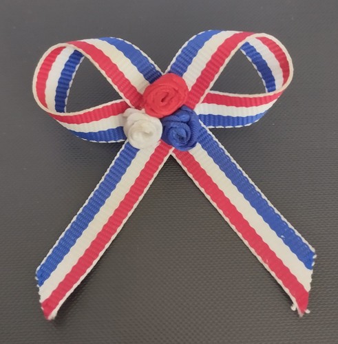 Pin noeud ruban - noeud, tricolore