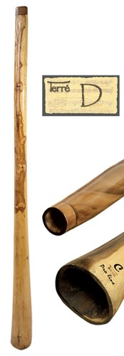 Didgeridoo eucalyptus proline - didgeridoo,