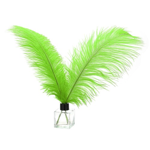 Plumes autruche - plumes, d'autruche