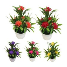 Pots de Plantes Fleurs