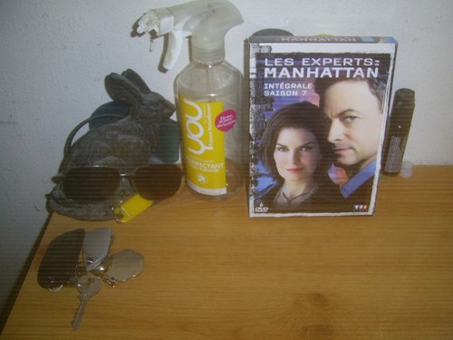 Les experts manhattan saison - les,