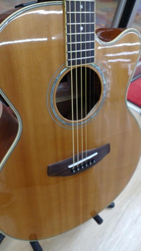 Guitare électrique acoustique
