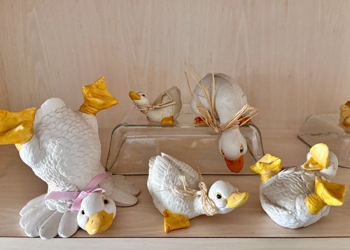Collection canards - collection, 13
