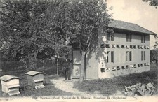 Penthaz (Vaud) apiculture De M.Mercier, chef de plante orphelinat (Suisse)