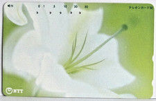 12 - CARTE TELEPHONIQUE