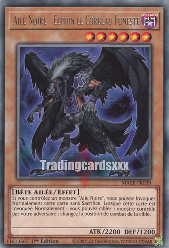 Aile noire elphin - aile,