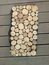 dessous de plat cerclage traverse SNCF avec  bois flotté