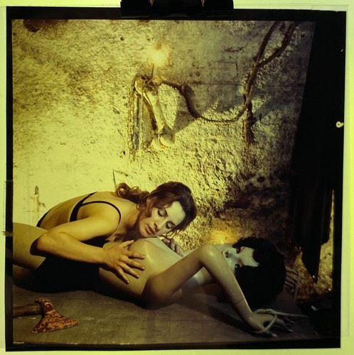 Photographies artistiques - photographies,