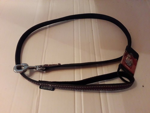 Laisse pour chien 15mm - chien,, 94cm