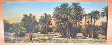Chromolithographie XIXème - Scènes et Types dans l'Oasis ND - Levy et Neurdein