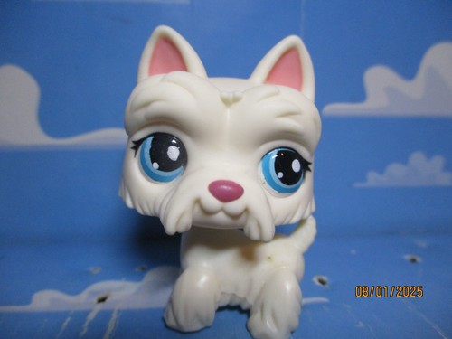 Petshop chien westie 1598 - chien, n°1598