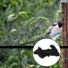 6m Large Oiseau Filet