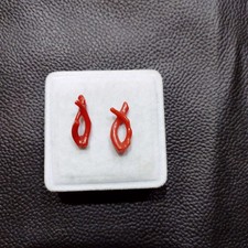 Branche de corail rouge