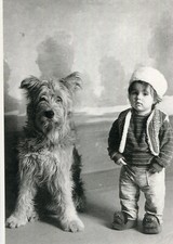 Carte FLYTOX et FANNY Beau