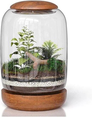 Exclusive glass terrarium with - exclusive,