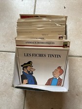 Lot De Fiches Tintin Atlas