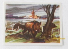 Image CHROMO Chocolat