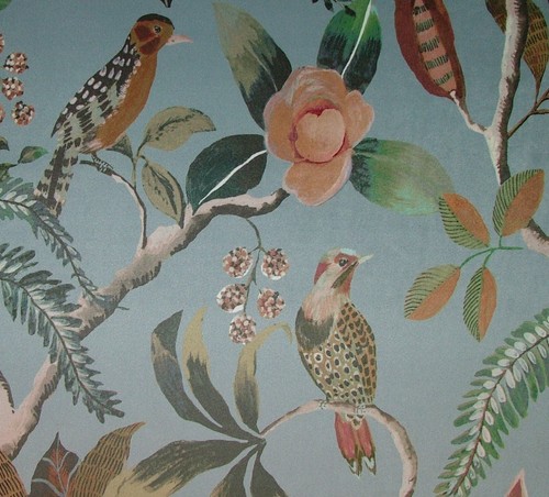 Colonial oiseaux ardoise - oiseaux,