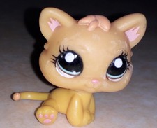Petshop chat chaton 1053