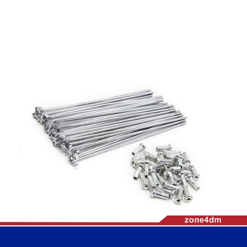 Universelle 36pcs rayons - 36pcs, de
