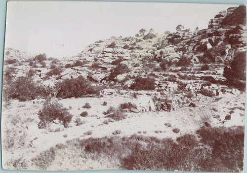 Algérie djebel amour - algérie,,