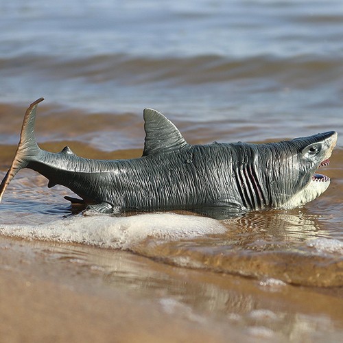 Figurine requin modèle - requin,
