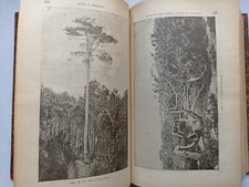 1893 - Ancien journal horticole. Très bon état. + de 1000 pages illustrées
