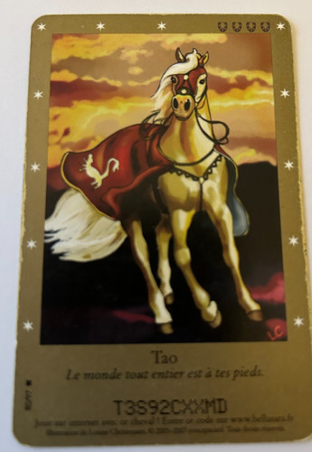 C101 carte bella - bella, sara