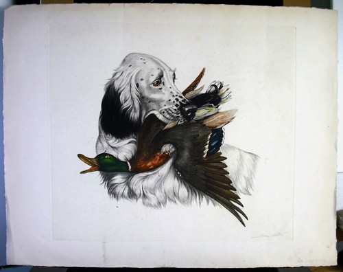 Jean herblet - herblet, (1893-1985)